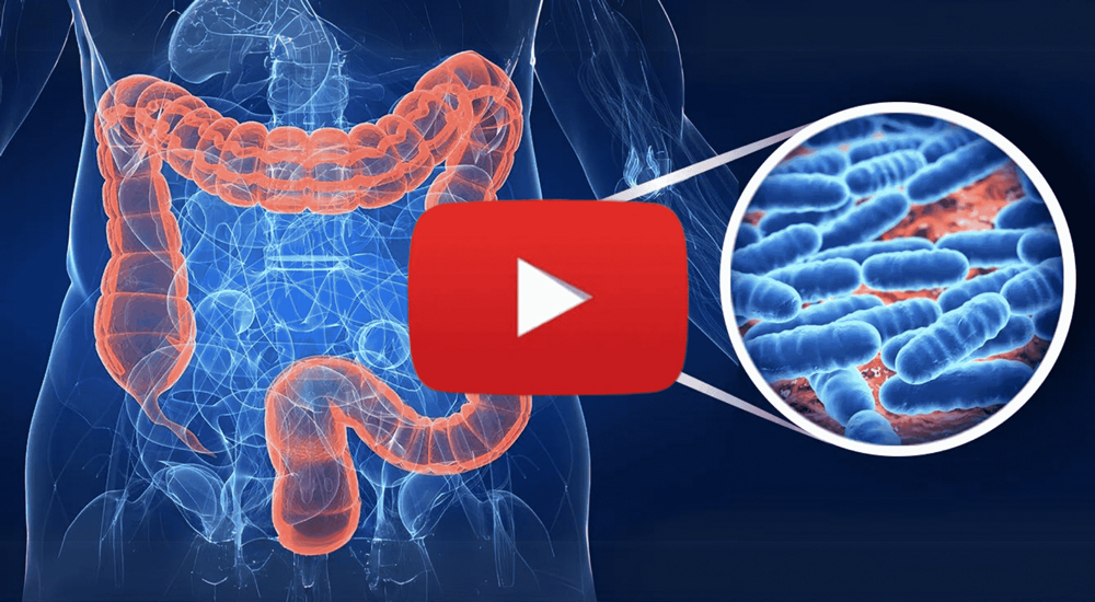 Bloating, Diarrhea, GERD, or Constipation? It's Not Your Fault, Watch This